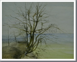 Bäume am Meer, Aquarell, 47/57 cm