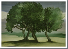 Oliven, Aquarell, 1997, 32/44 cm