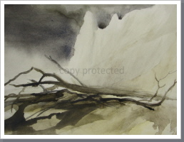 gestürzte Bäume, Aquarell, 1999, 30/39 cm