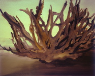 Wurzel im Licht, Aquarell, 1999, 36/45 cm Wurzel im Licht, Aquarell, 1999, 36/45 cm