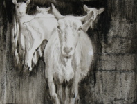 Leitziege, 2010, 16,5/22 cm