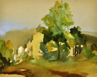 Boule de Amont, 2001, 16/20 cm Boule de Amont, 2001, 16/20 cm