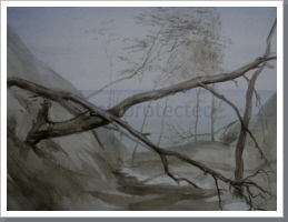 gekreuzte Bäume, Aquarell, 1986, 35/45,5 cm