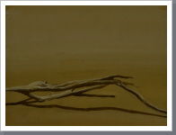 Strandvogel, Aquarell, 1990, 46/60 cm