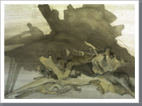 Wurzel und Schatten, Aquarell, 1995, 36/46,5 cm